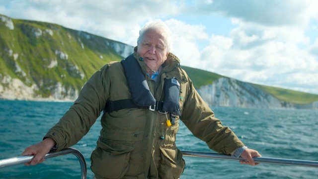 Article thumbnail: Attenborough and the Giant Sea Monster,01-01-2024,Sir David Attenborough ,onboard a boat while filming near White Nothe cliffs, on the Jurassic Coast, Dorset, UK. **STRICTLY EMBARGOED NOT FOR PUBLICATION UNTIL 00:01 HRS ON MONDAY 11TH DECEMBER 2023**,BBC Studios,Screengrab