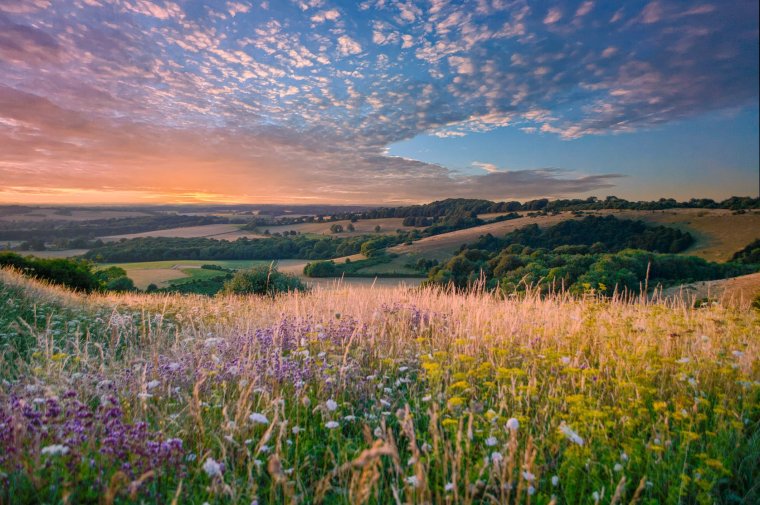 The South Downs in Sussex (Photo: Ricky Howitt/Getty Images)